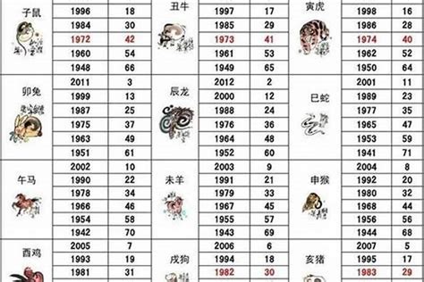 02属什么|2002年属什么命 2002年属什么生肖和什么最配